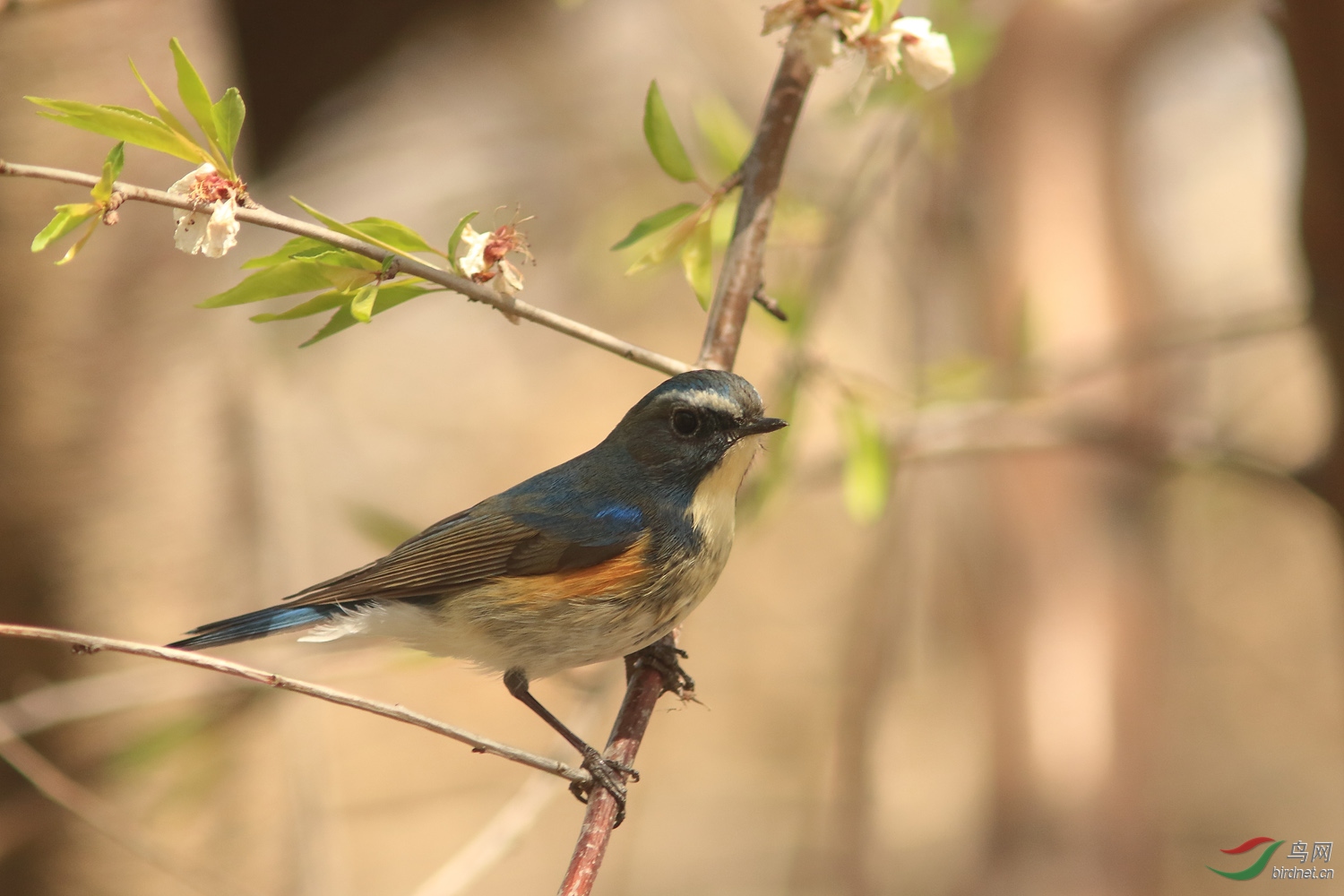 03��в��β�_55A3195 (2).JPG