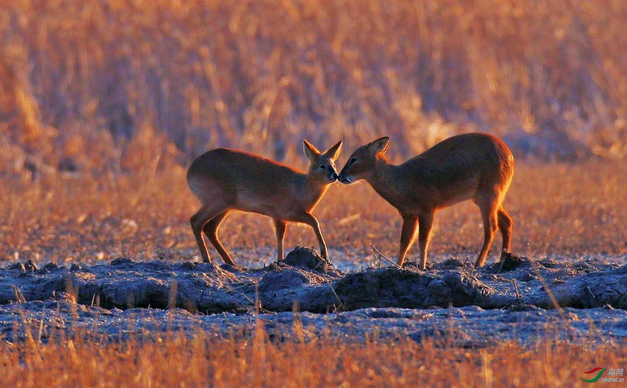 081106g8nbzxq7d2676x3m.jpg
