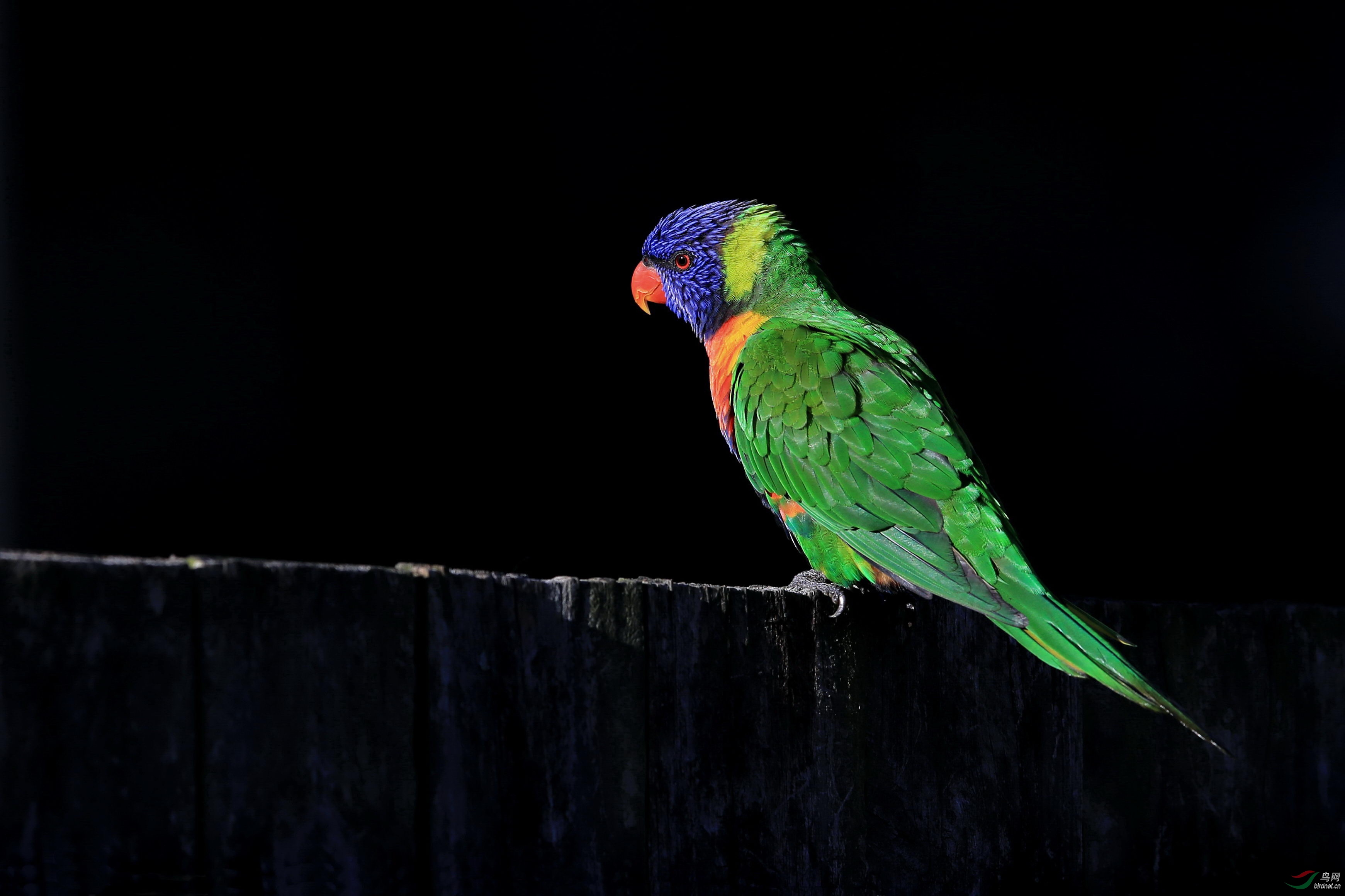 �ʺ����� (9).jpg