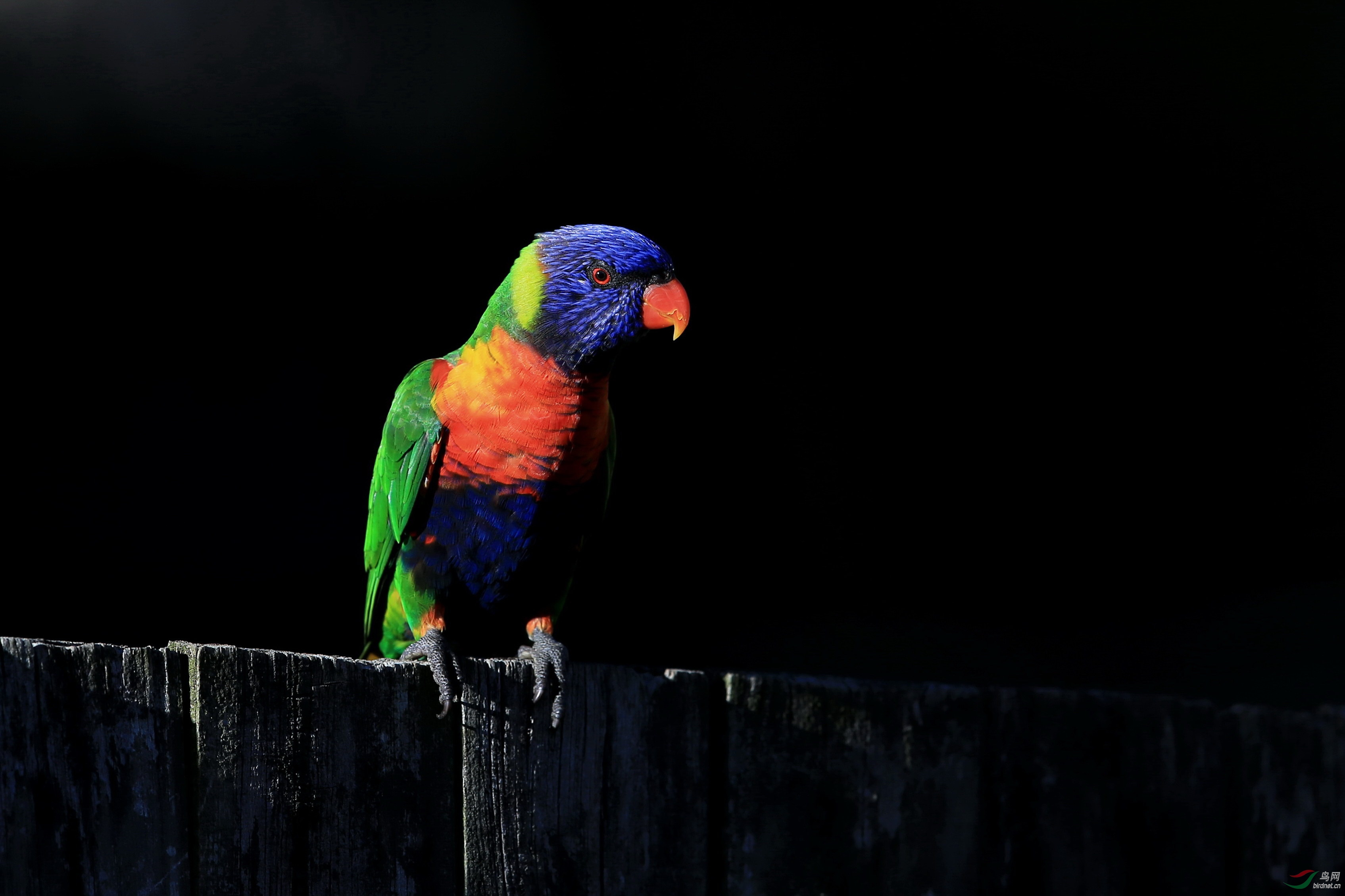 �ʺ����� (10).jpg