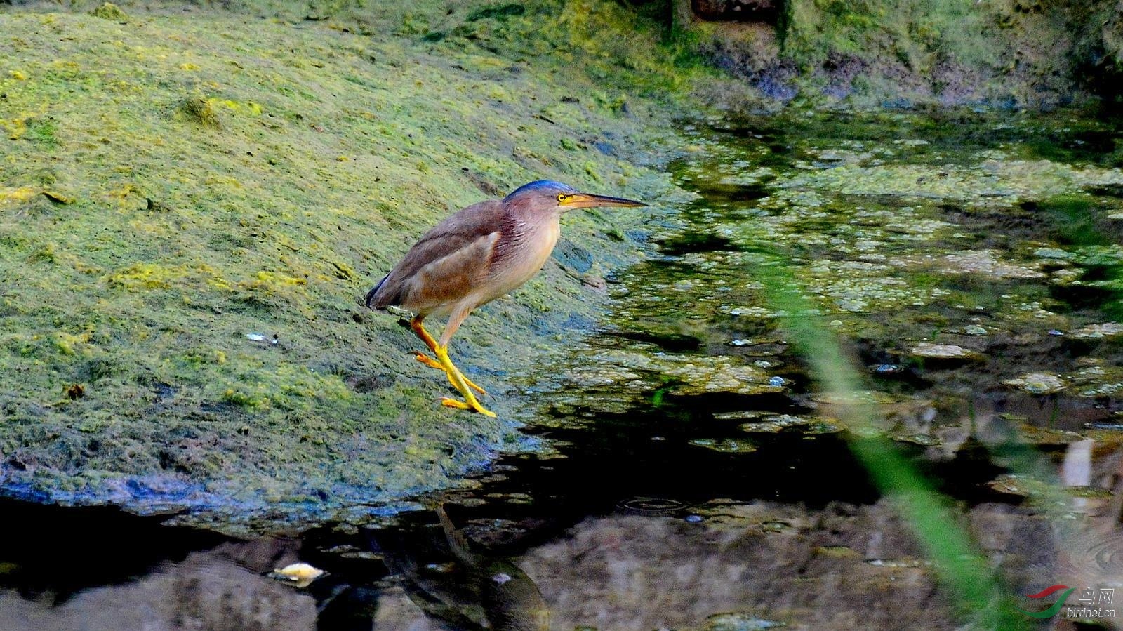 DSC_6215.JPG