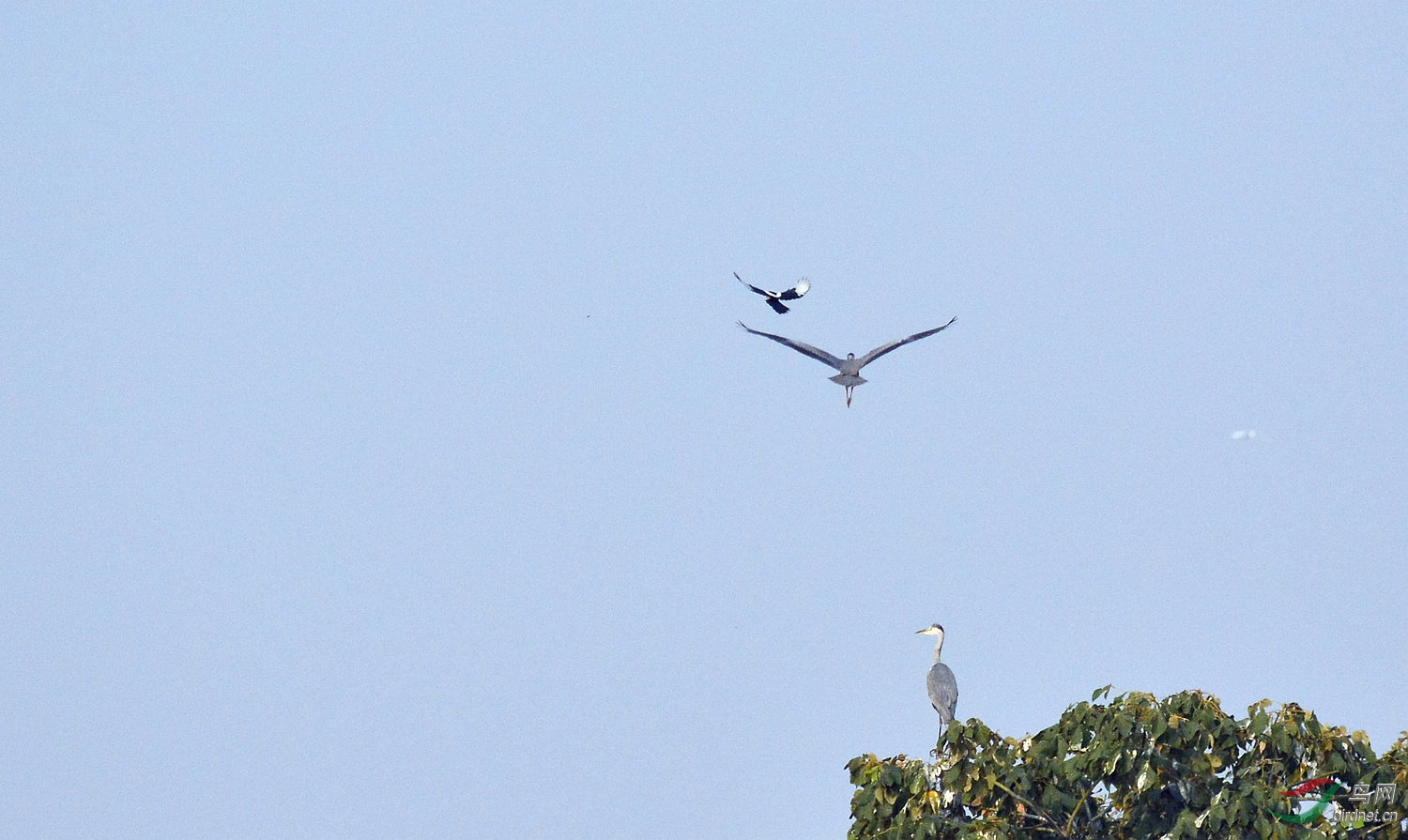 DSC_5549.JPG