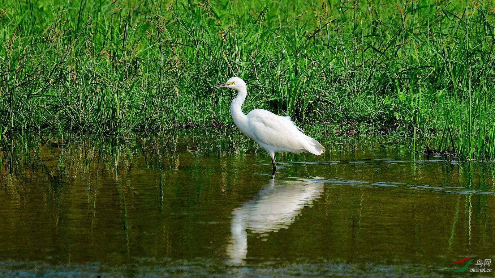 DSC_7160.JPG