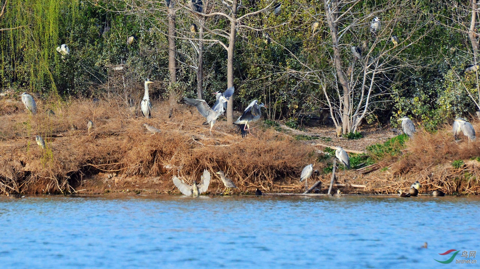 DSC_8953.JPG