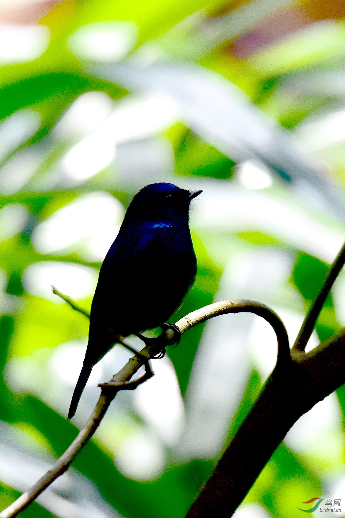 DSC_0117.JPG