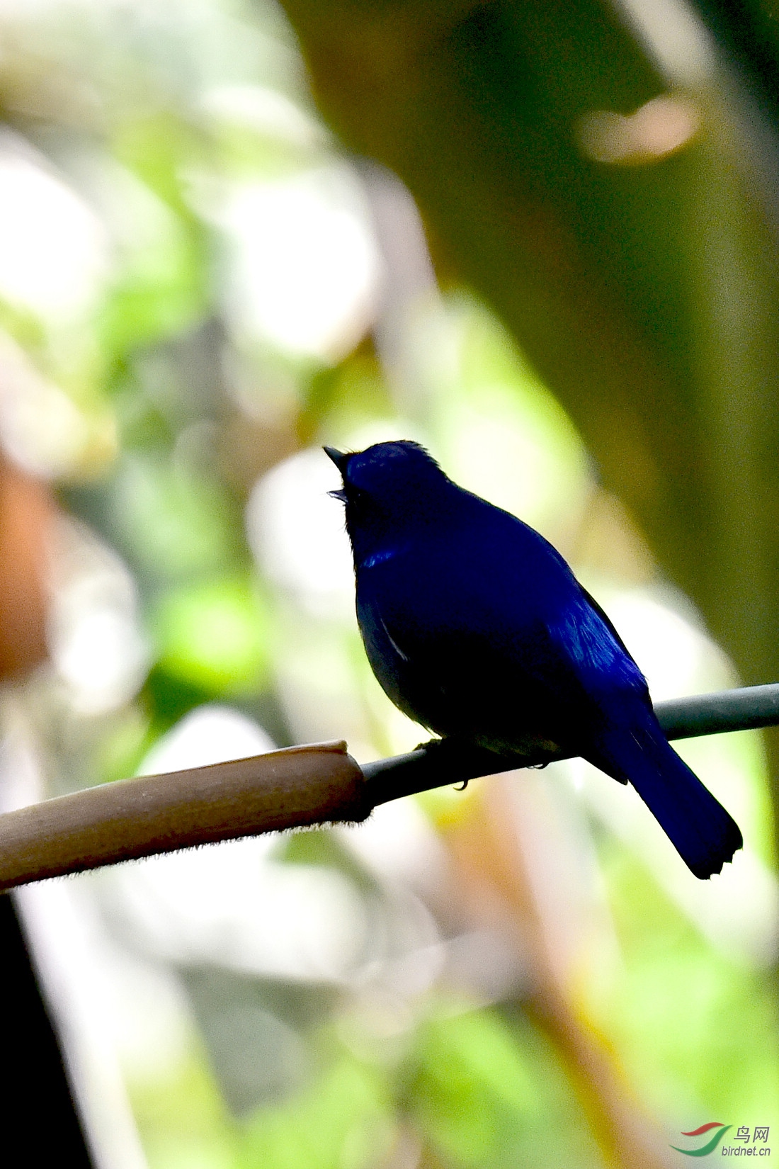 DSC_0121.JPG