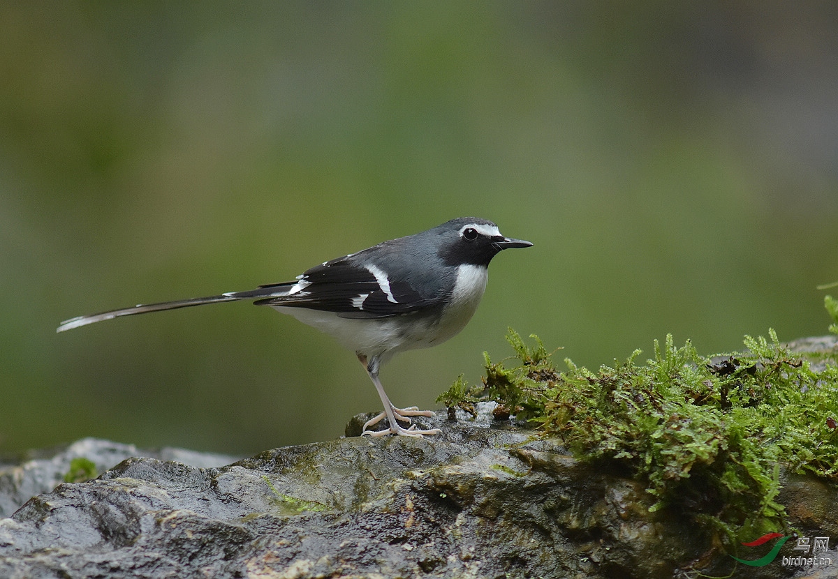 D72_9252.jpg