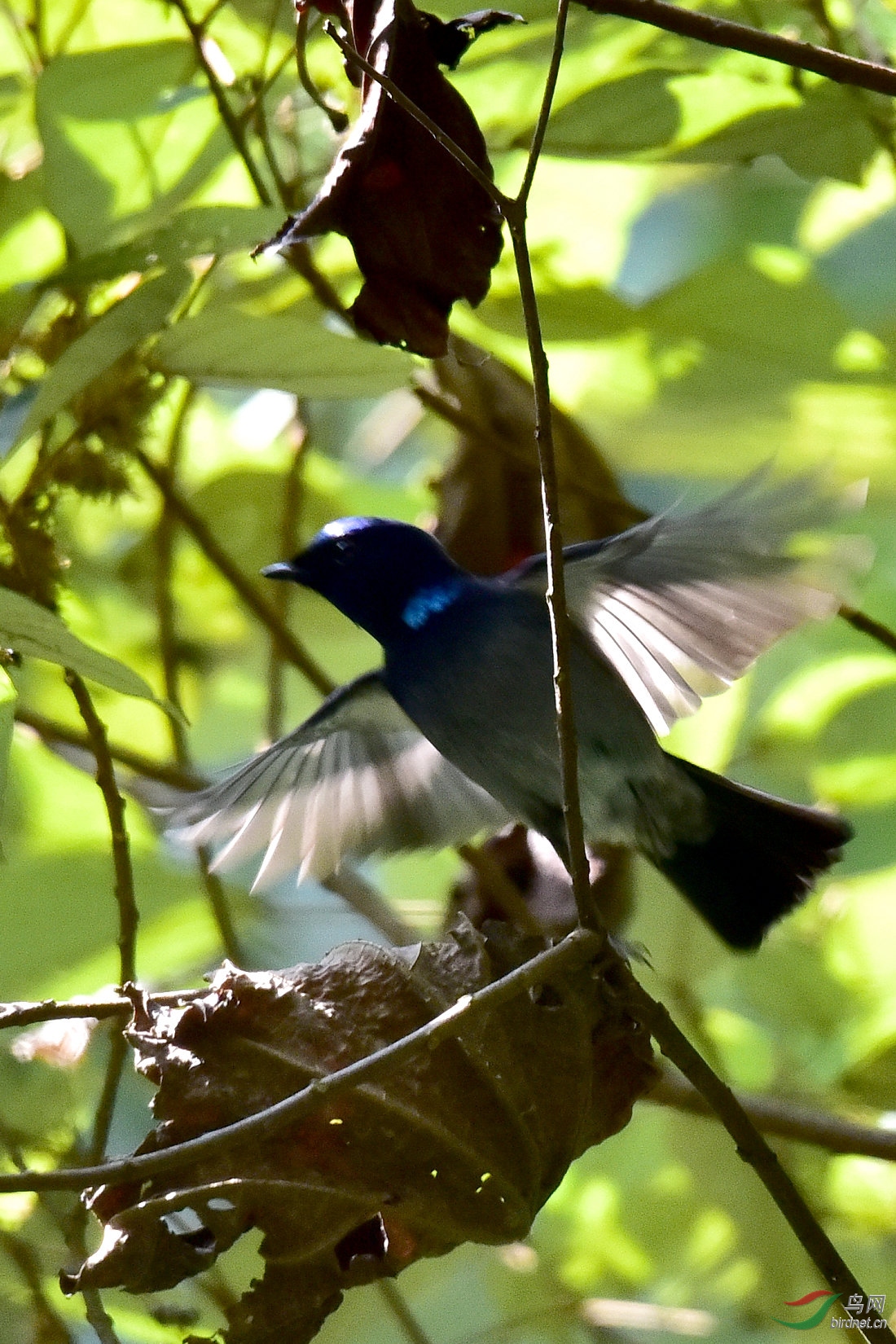 DSC_0128.JPG