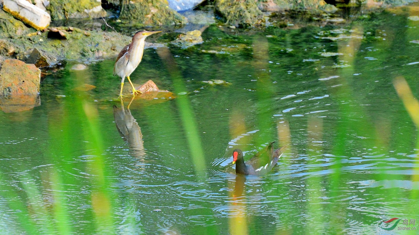 DSC_6298.JPG