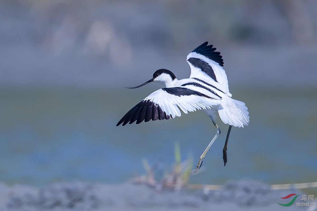 ���Է�����