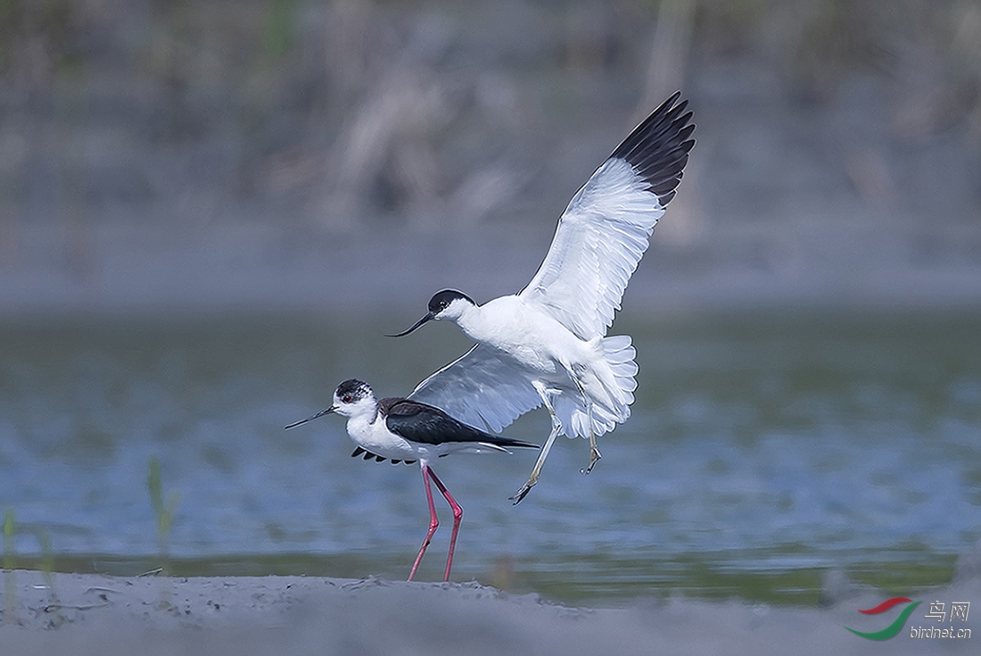 ������һ��