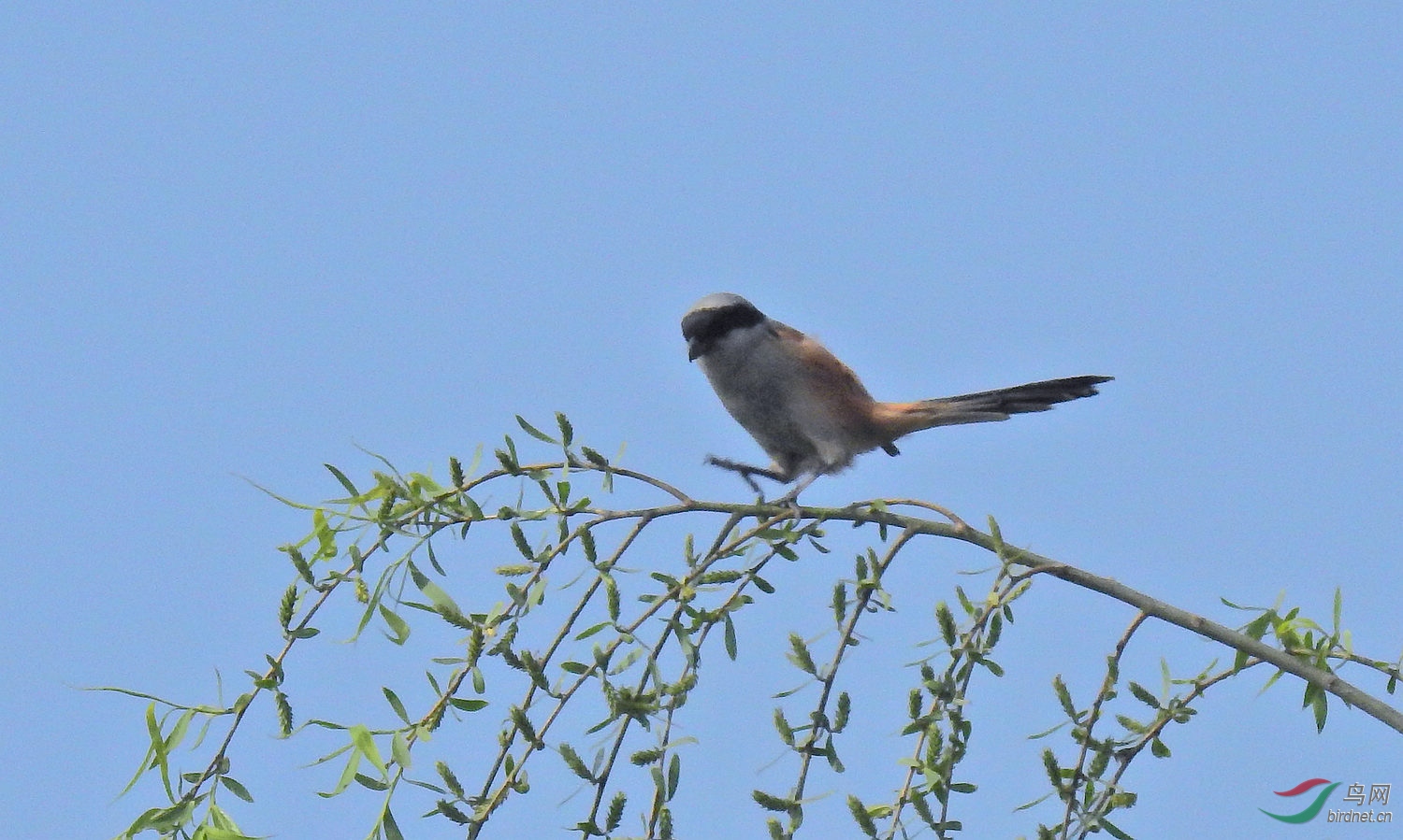DSCN6984.JPG