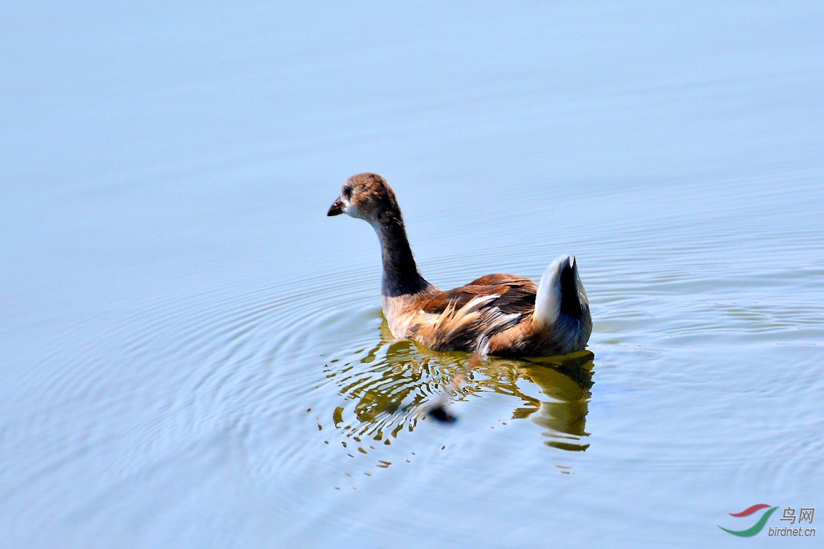 DSC_3686.JPG