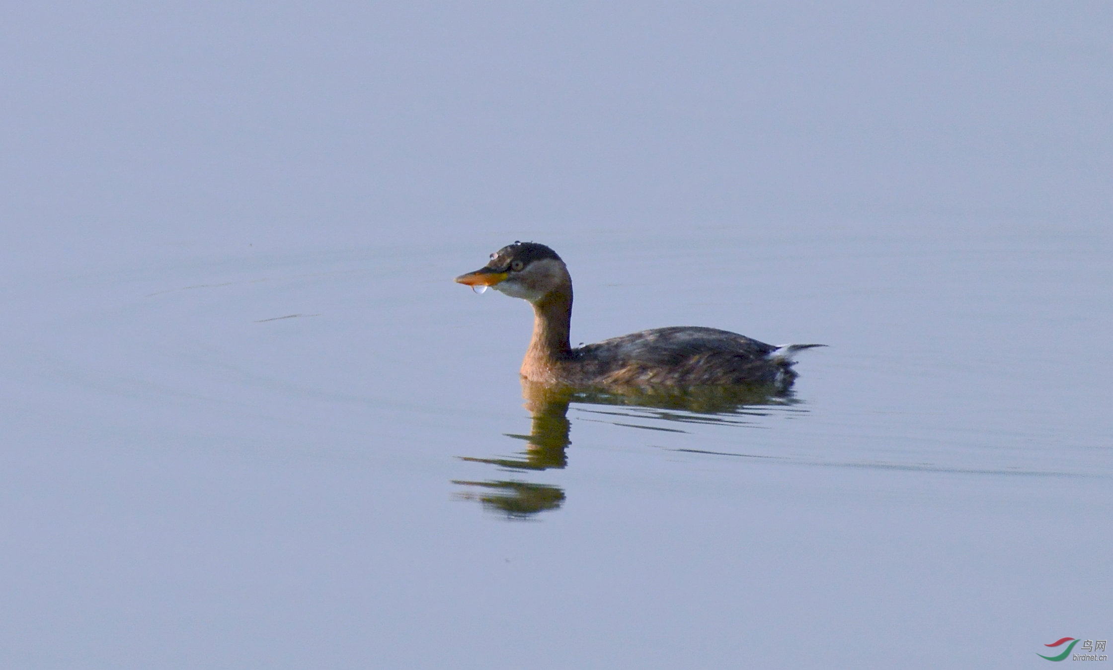 DSC_3012.JPG