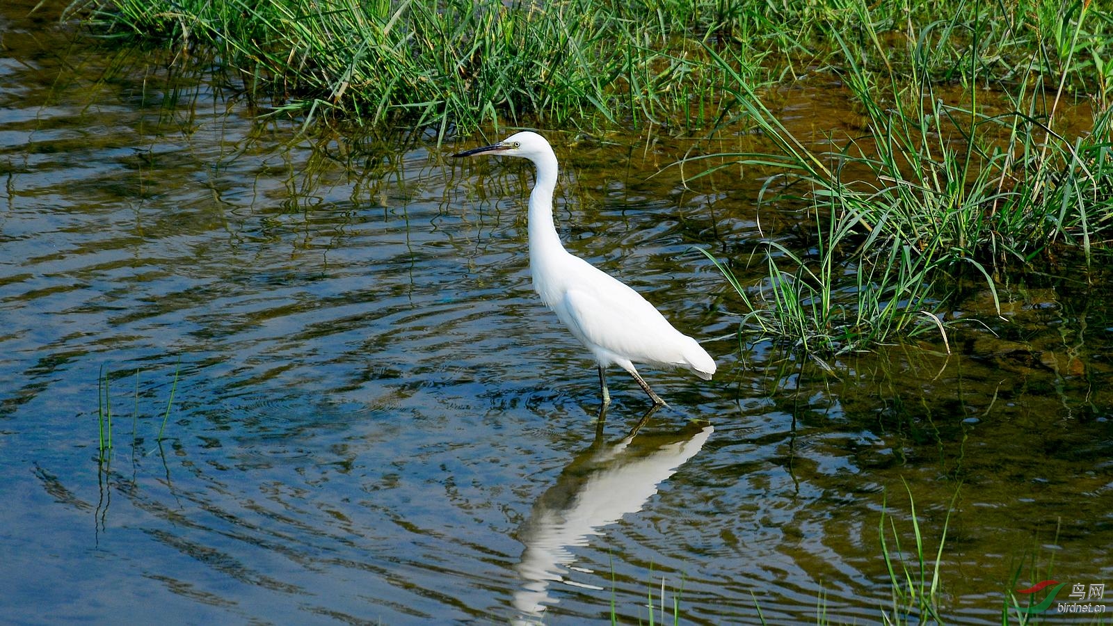 DSC_7200.JPG