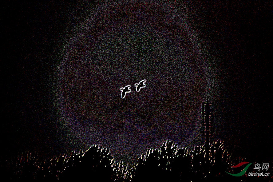 AQ1I3566_����_����.jpg