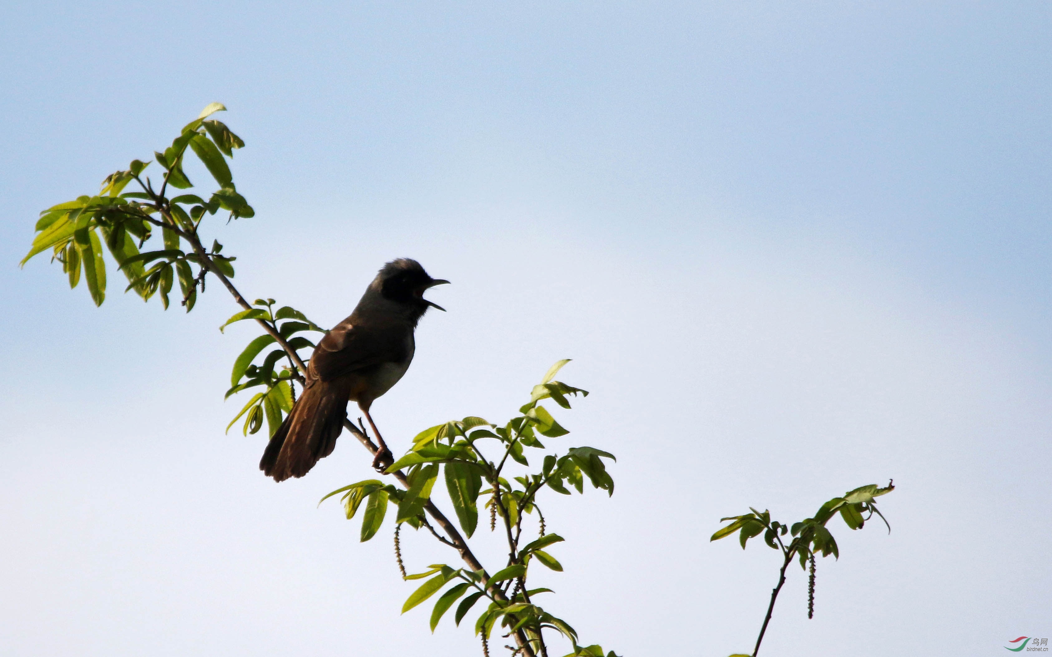 4B5A5803 ����-1.jpg