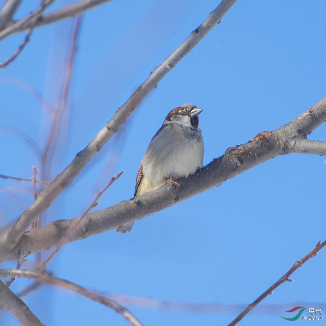 DSC_4522.JPG