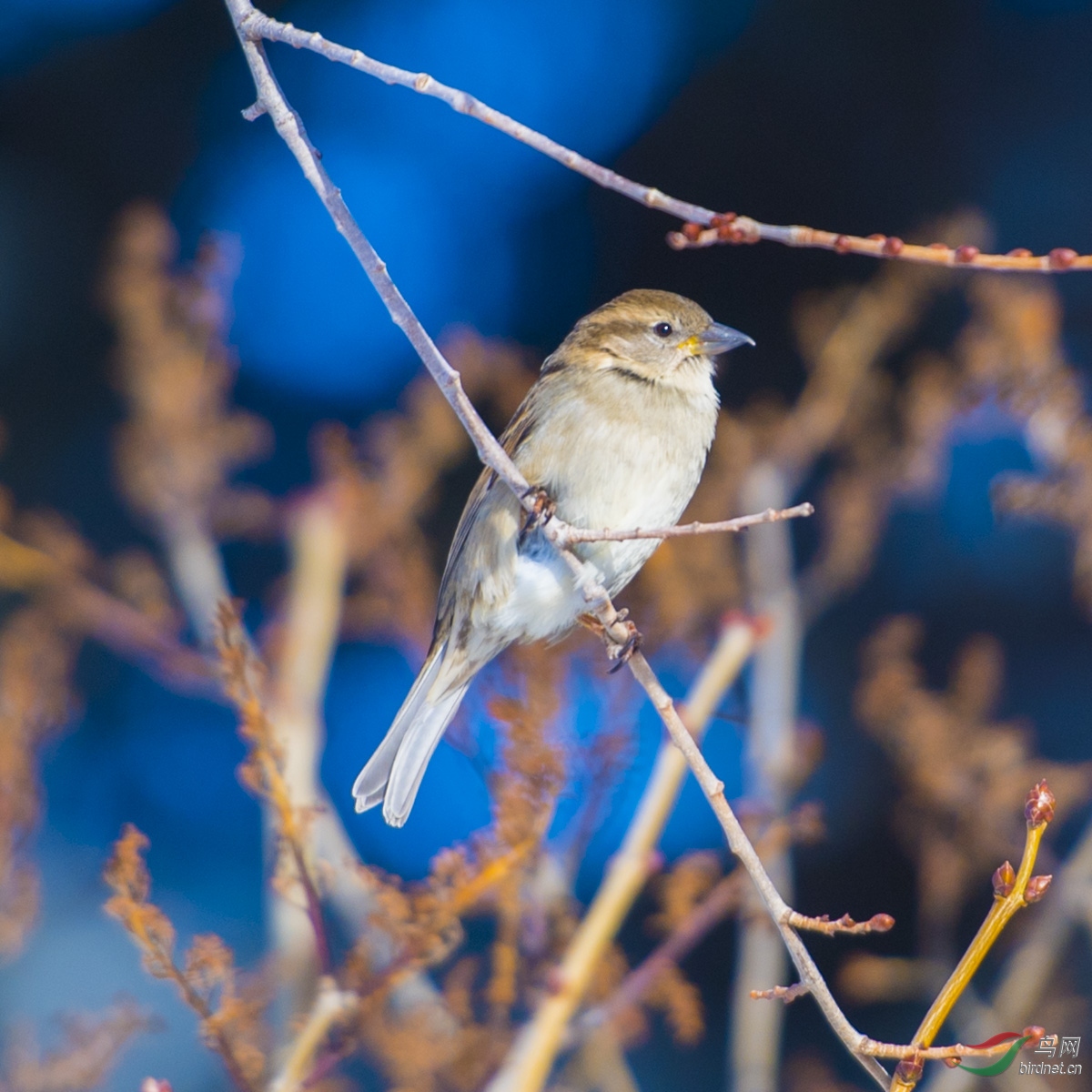 DSC_7476.JPG