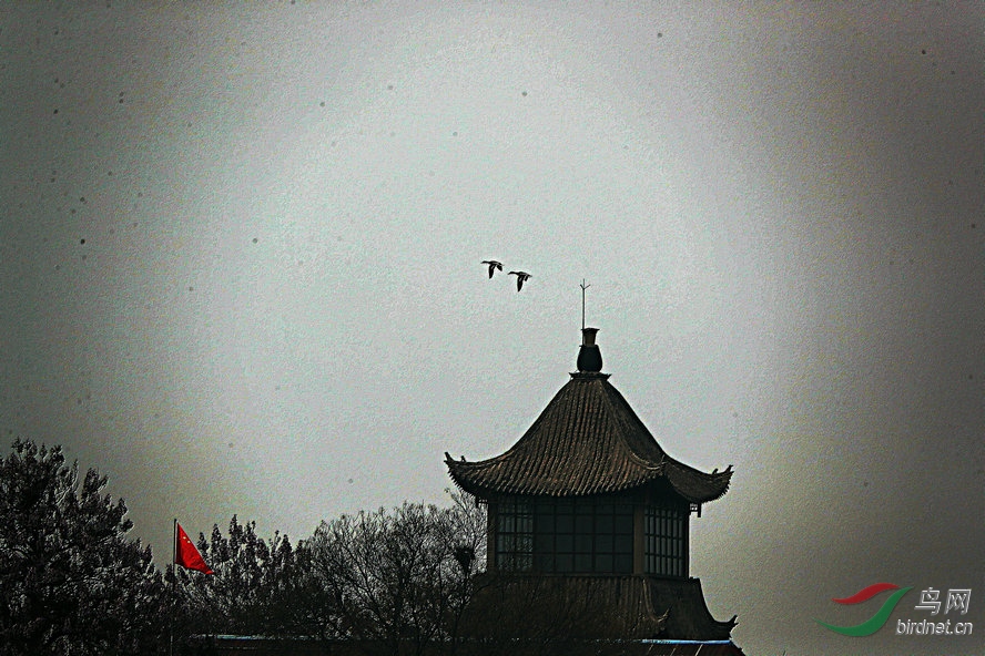AQ1I3583_����_����1.jpg