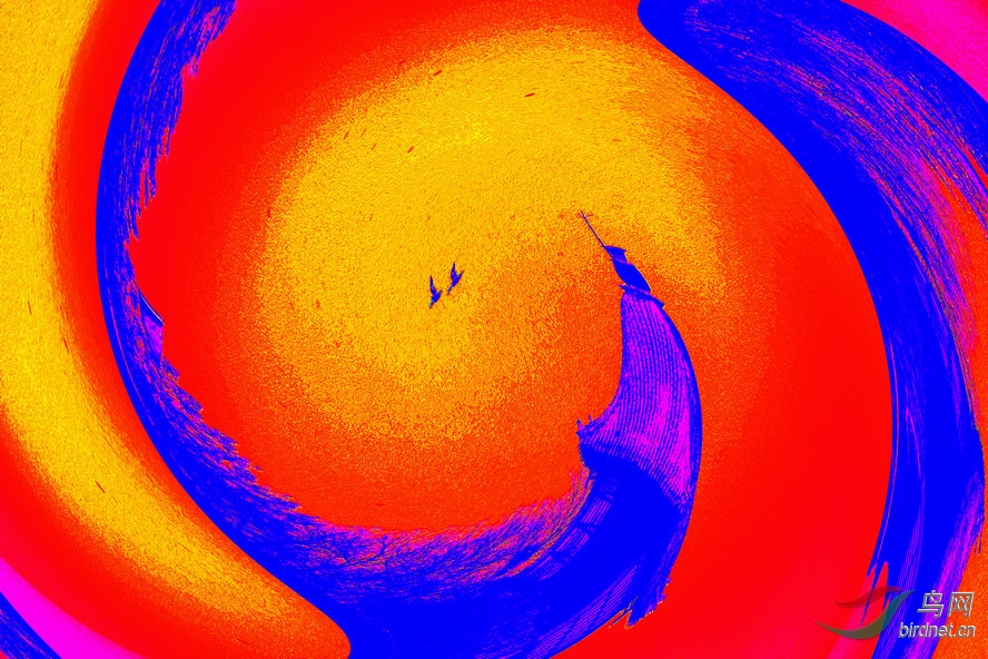 AQ1I3584_����_����.jpg