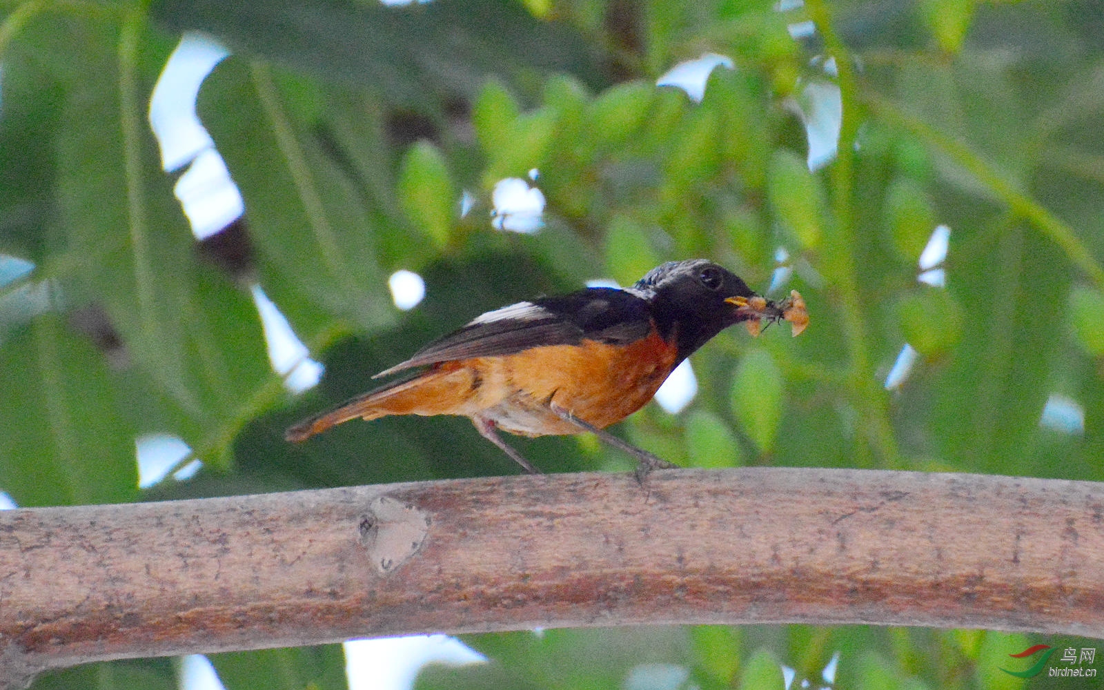 DSC_8981.JPG