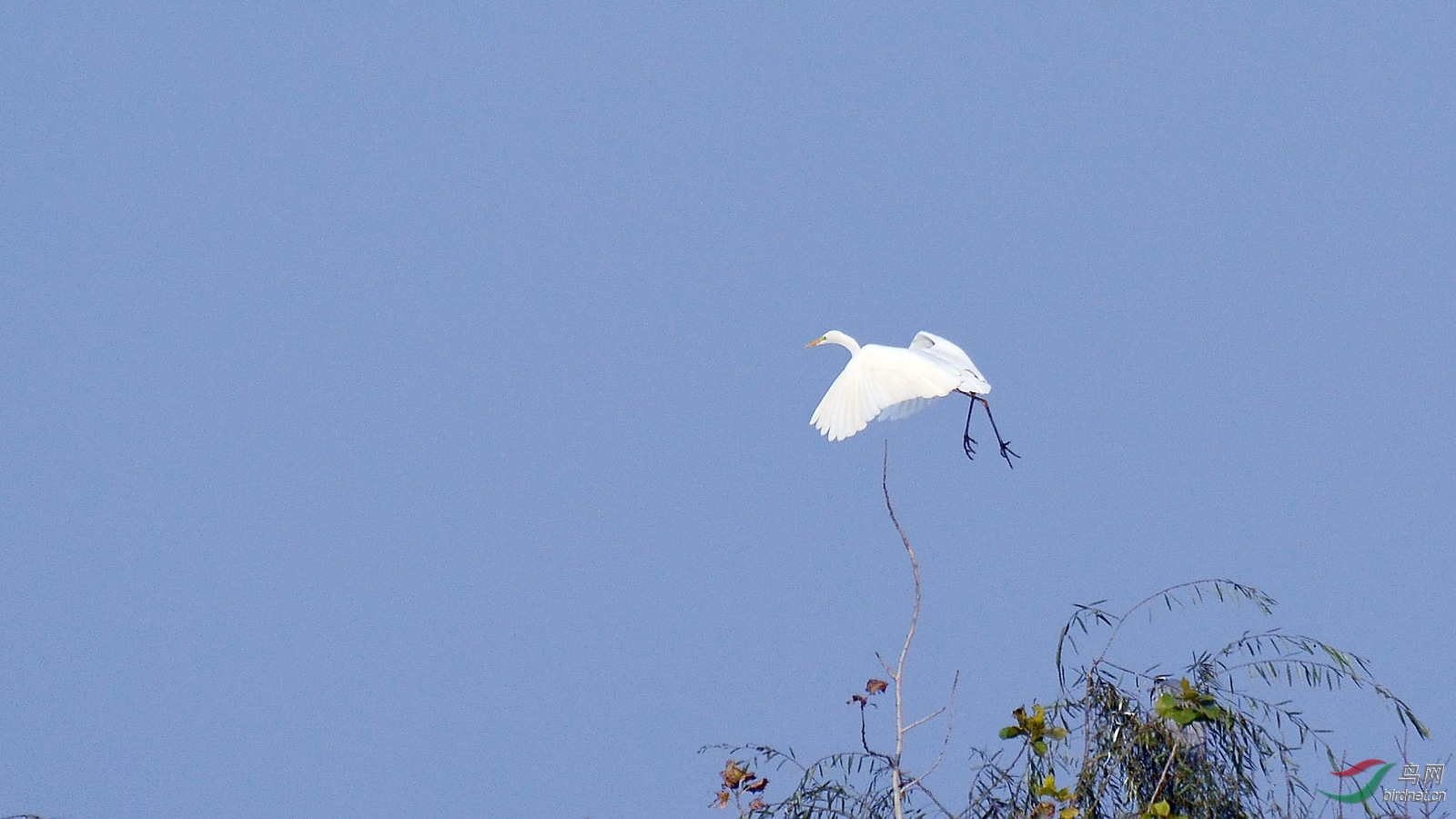 DSC_4308.JPG