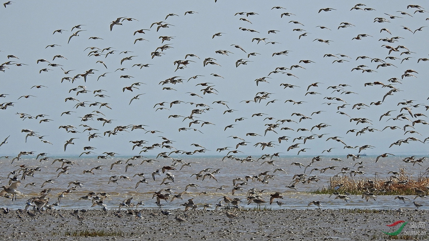 DSCN2561.jpg