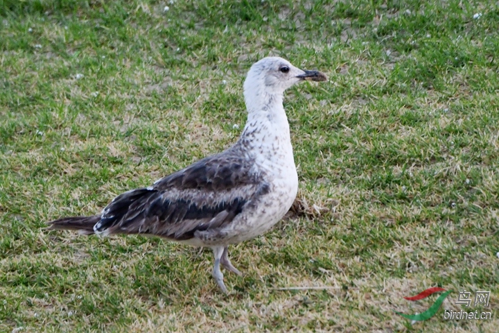 DSC_2297_����.jpg