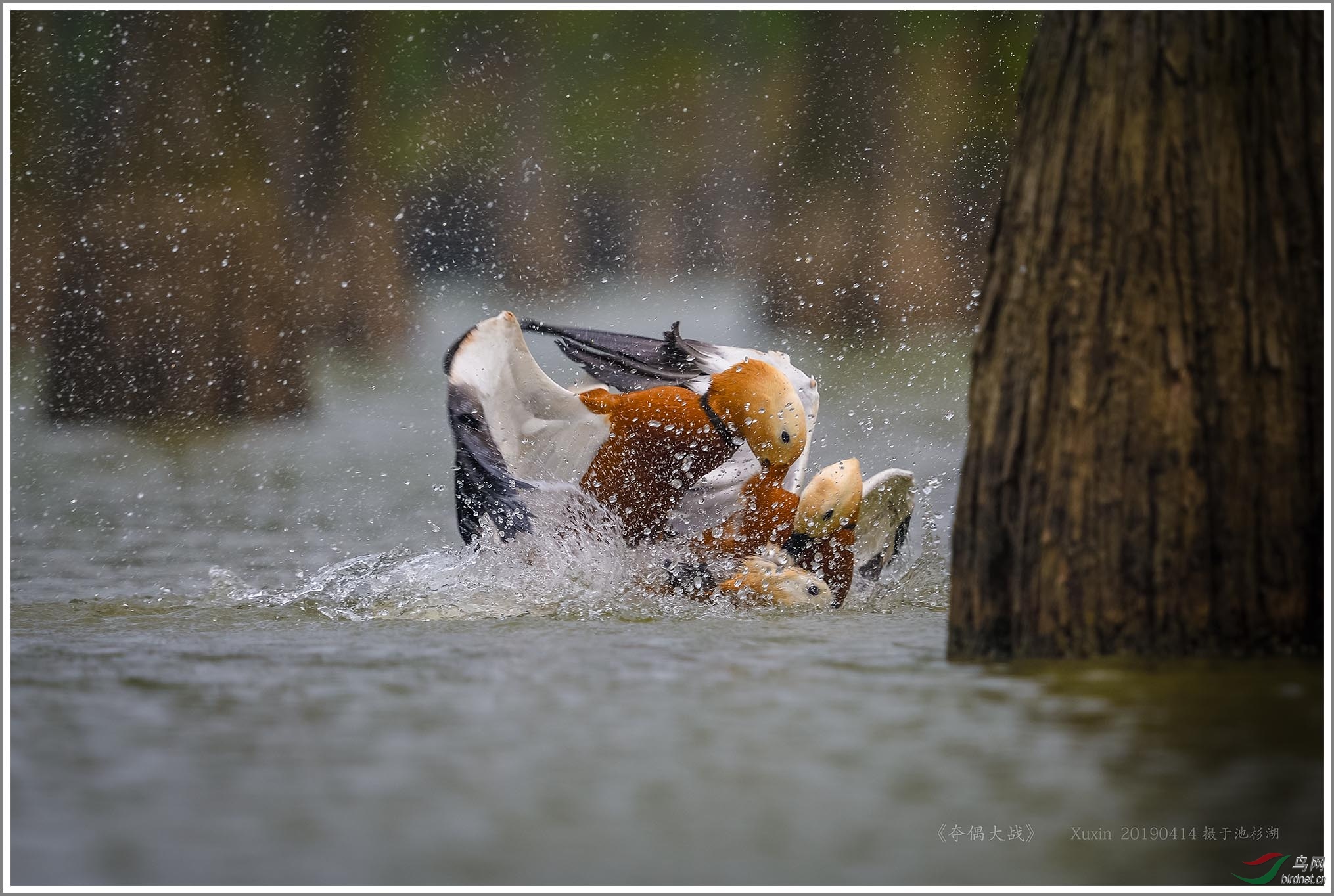 ��_XUX2206��Ϊ���ܶ���-1 2000.jpg