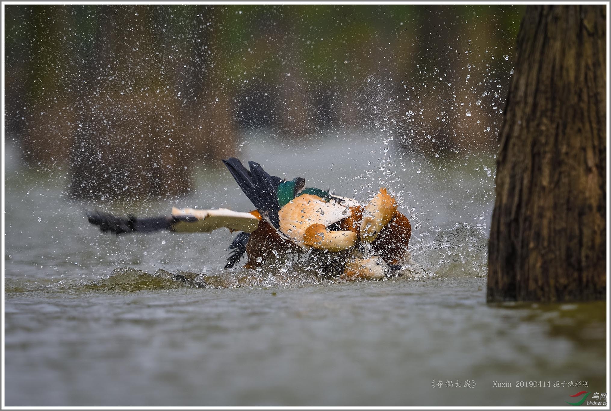 ��_XUX2205��Ϊ���ܶ���-1 2000.jpg