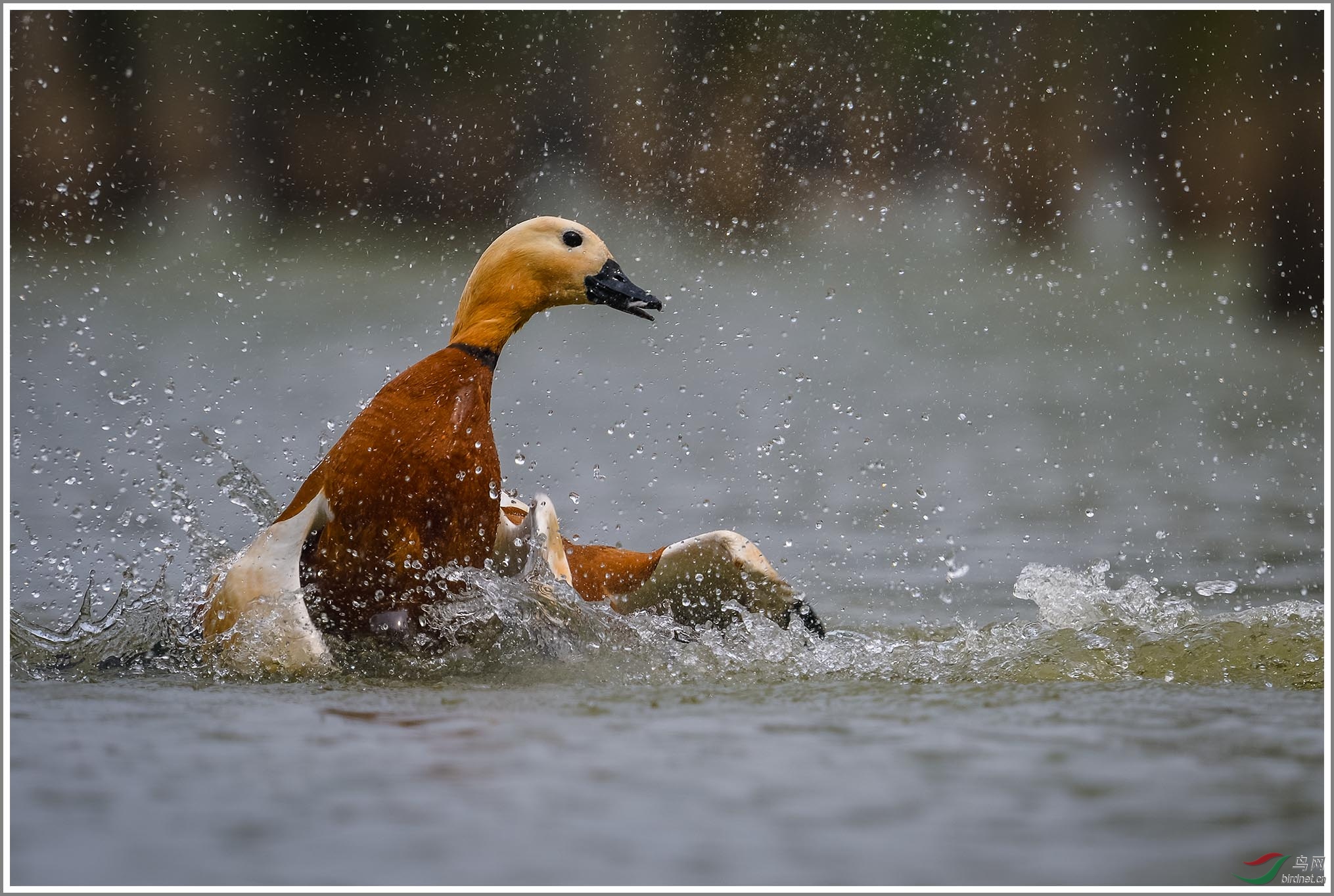 ��_XUX2248_01��Ϊ���ܶ���-1 2000.jpg