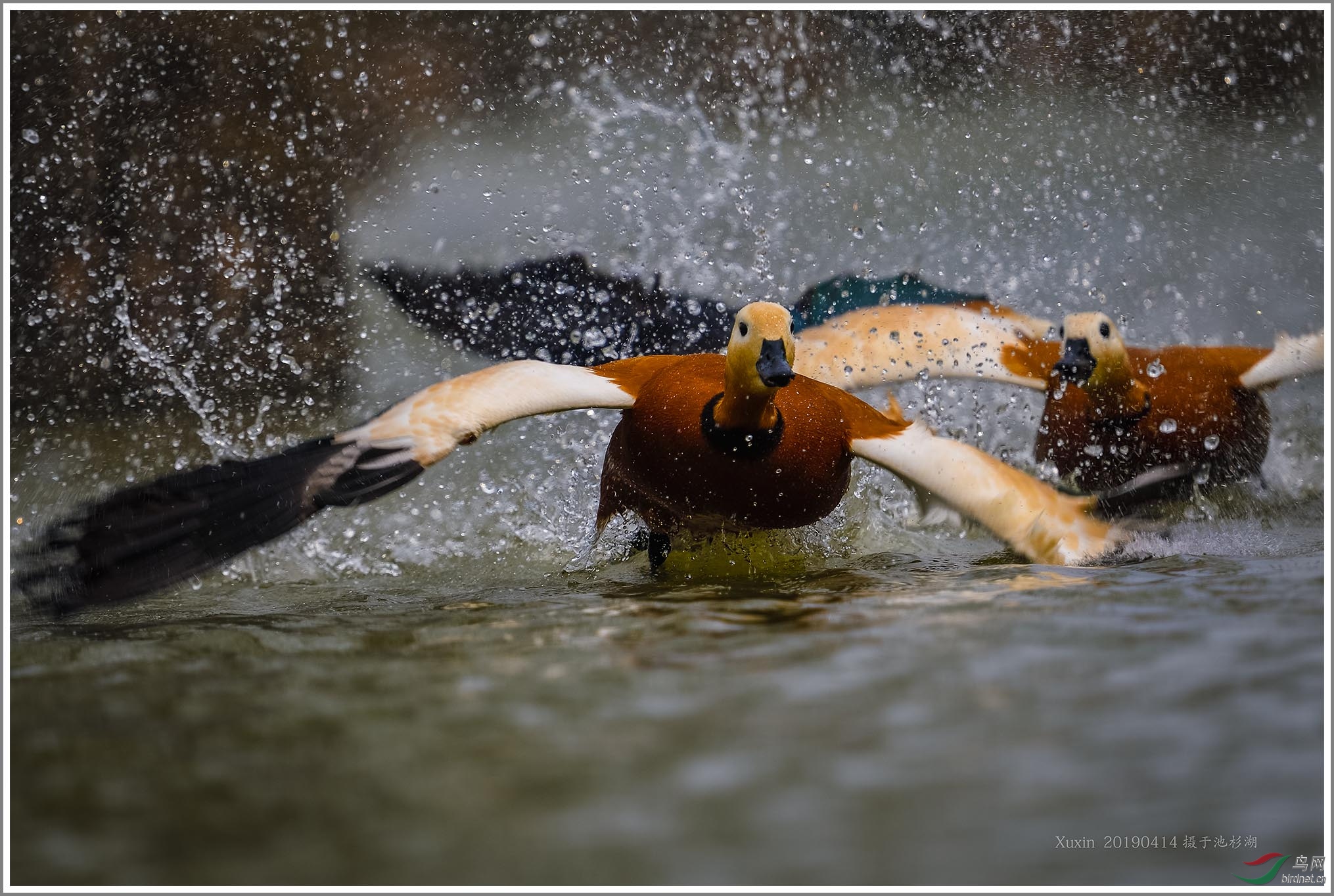 ��_XUX2288��Ϊ���ܶ���-1 2000.jpg