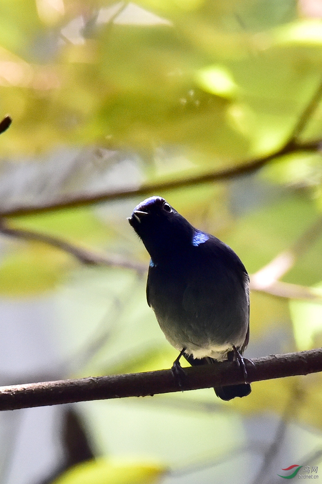 DSC_0138.JPG