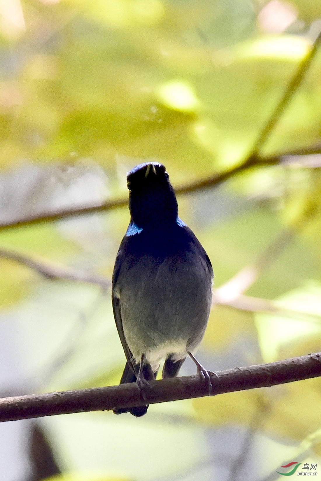 DSC_0140.JPG