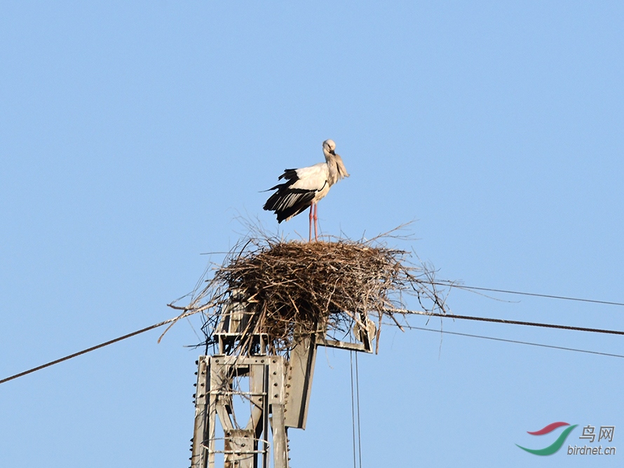 D50_2806.jpg