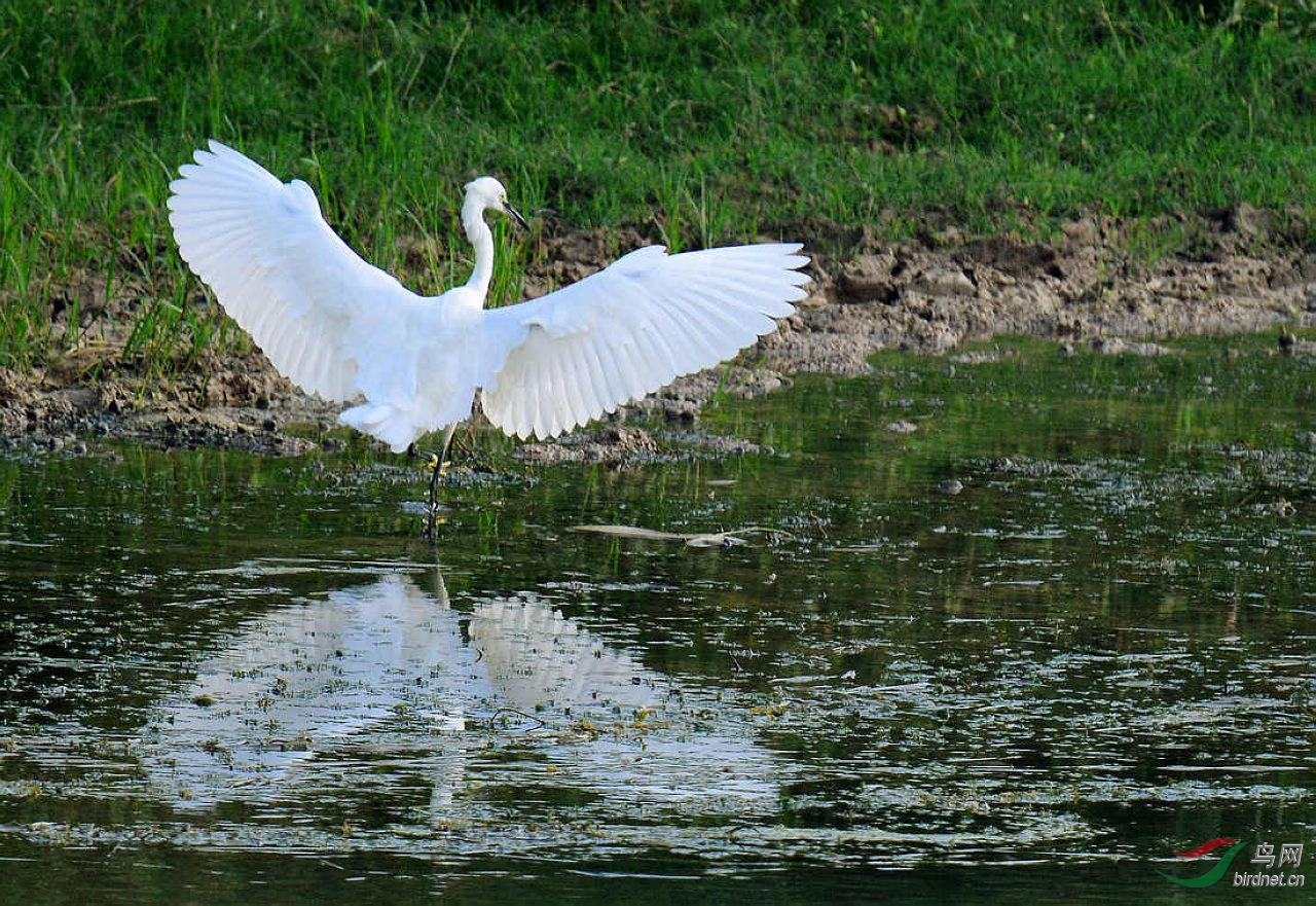 DSC_8143.JPG