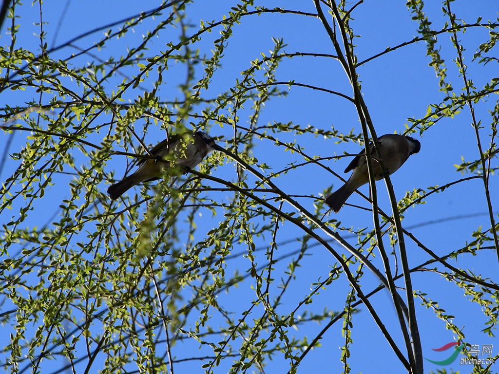 D50_2796.jpg