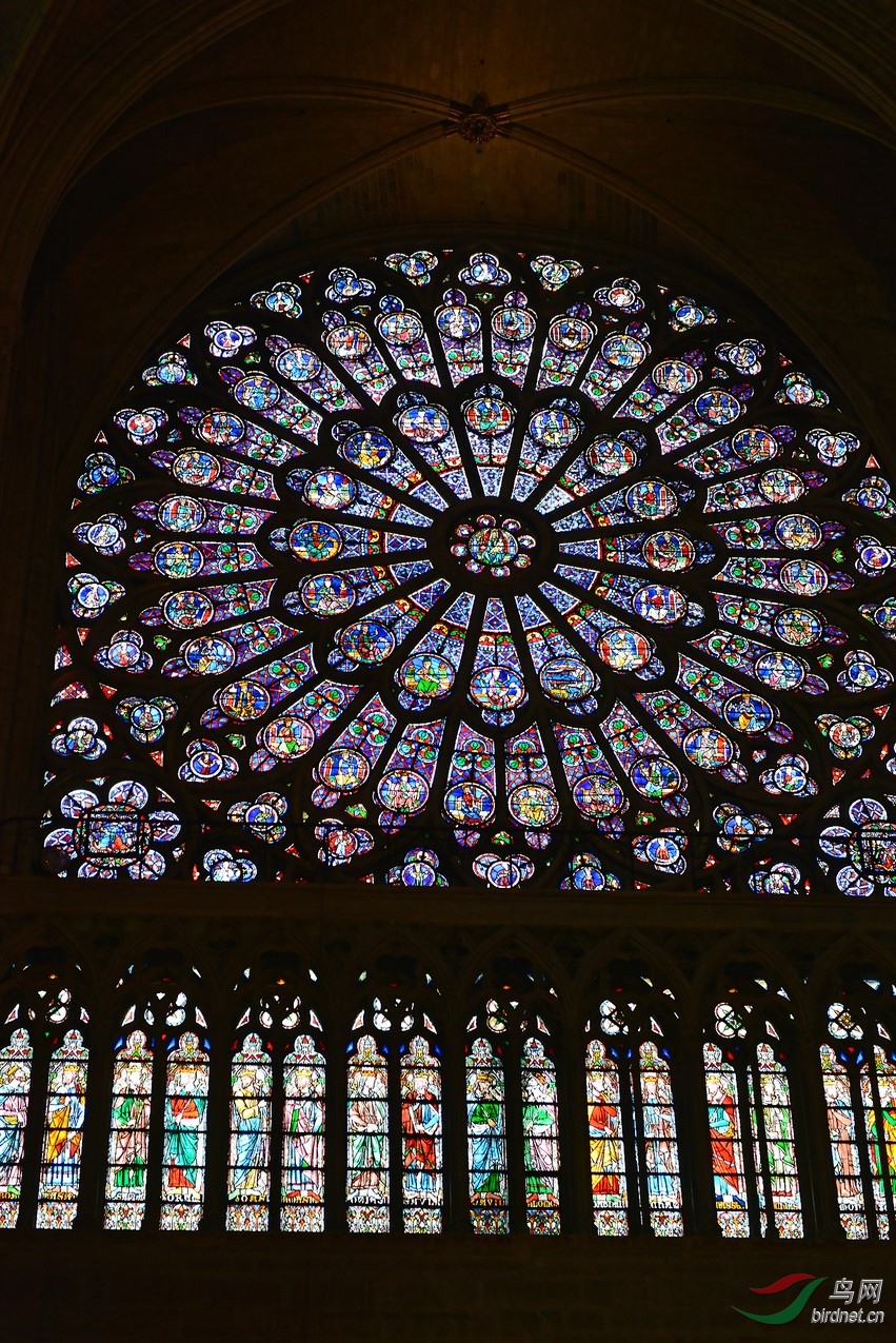DSC_0303_DxO (����).jpg