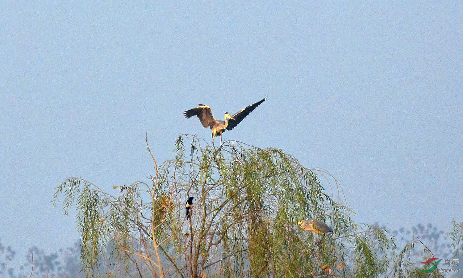 DSC_5525.JPG