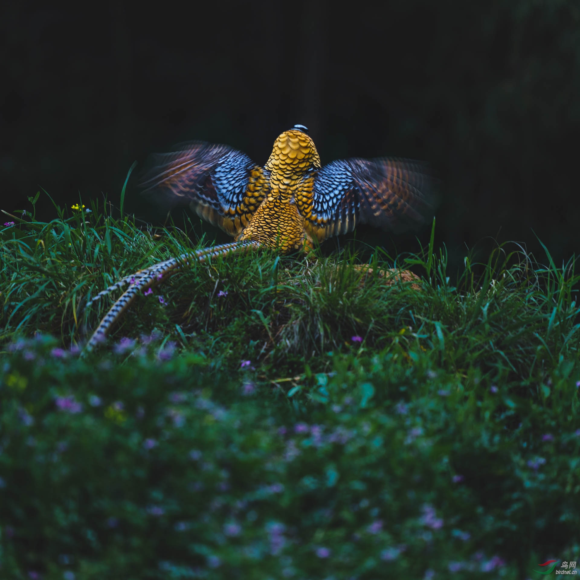 _DSC6731 6751-Pano s.jpg