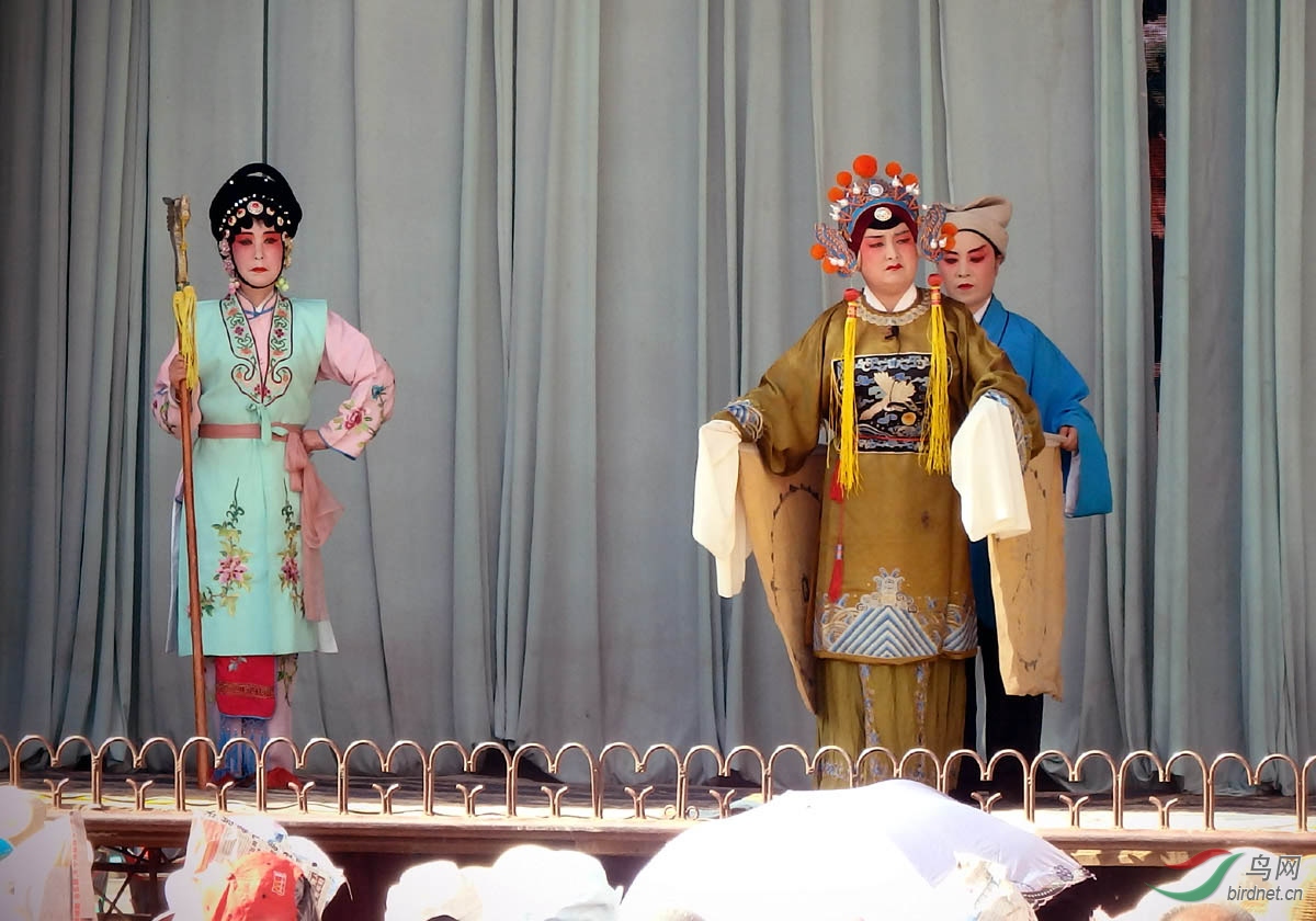 【剧照欣赏】《探窑》