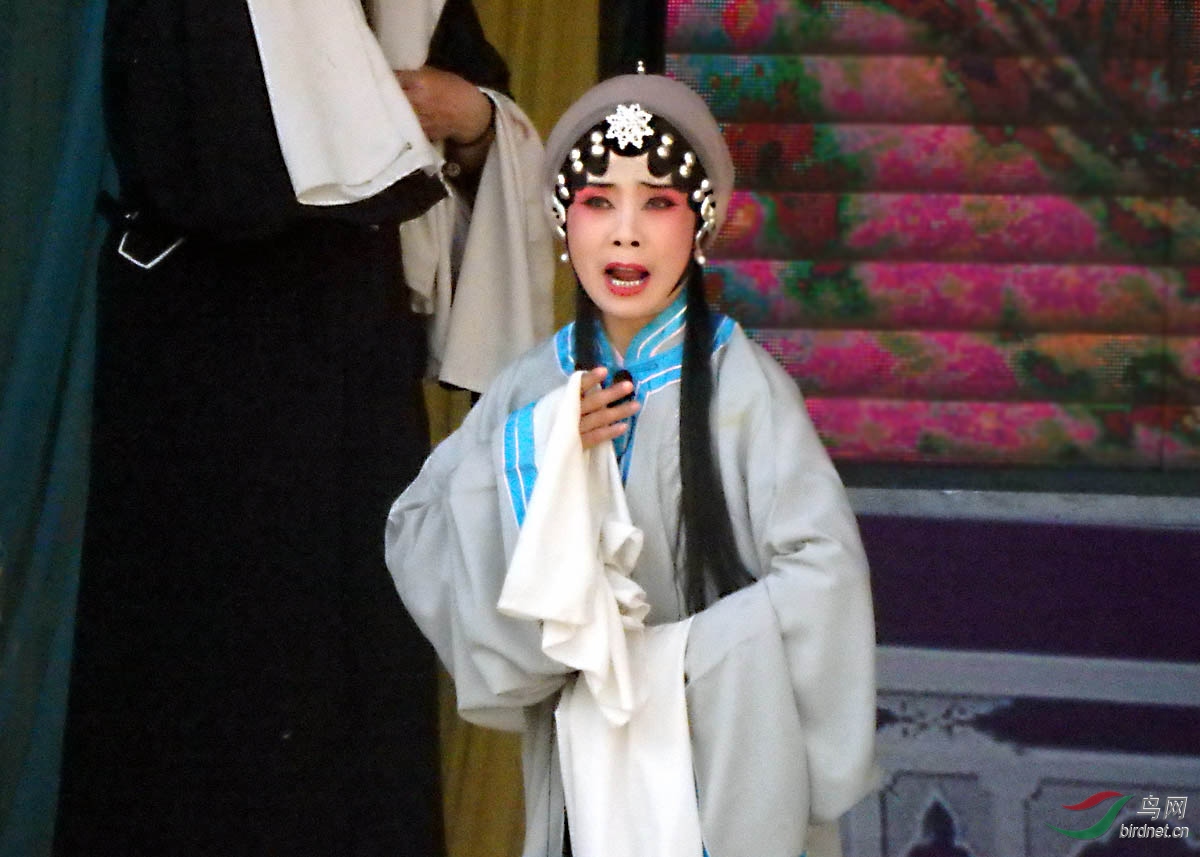 【剧照欣赏】《探窑》