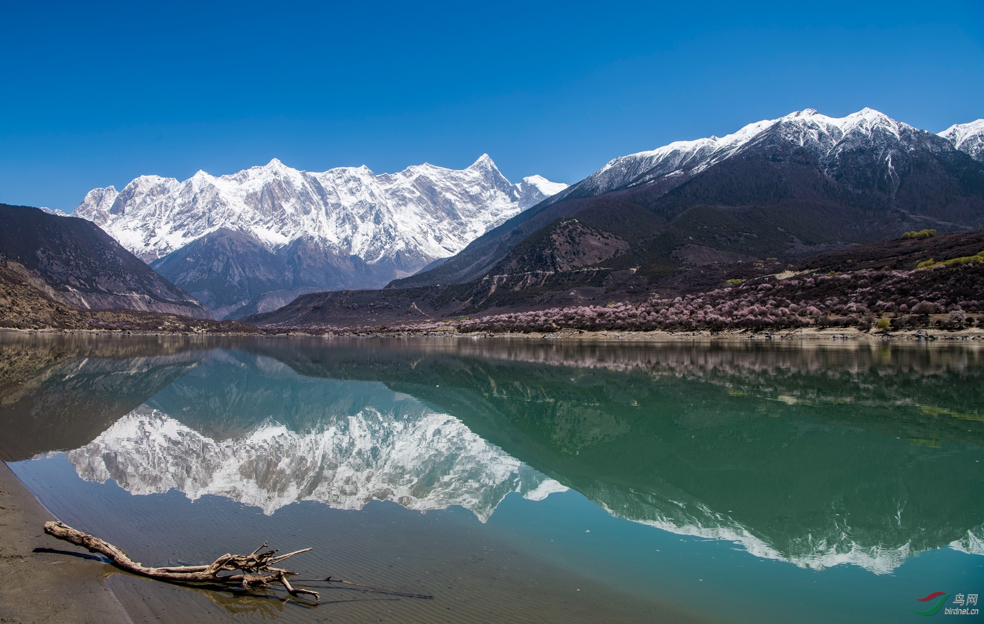 中国最美高峰——南迦巴瓦峰
