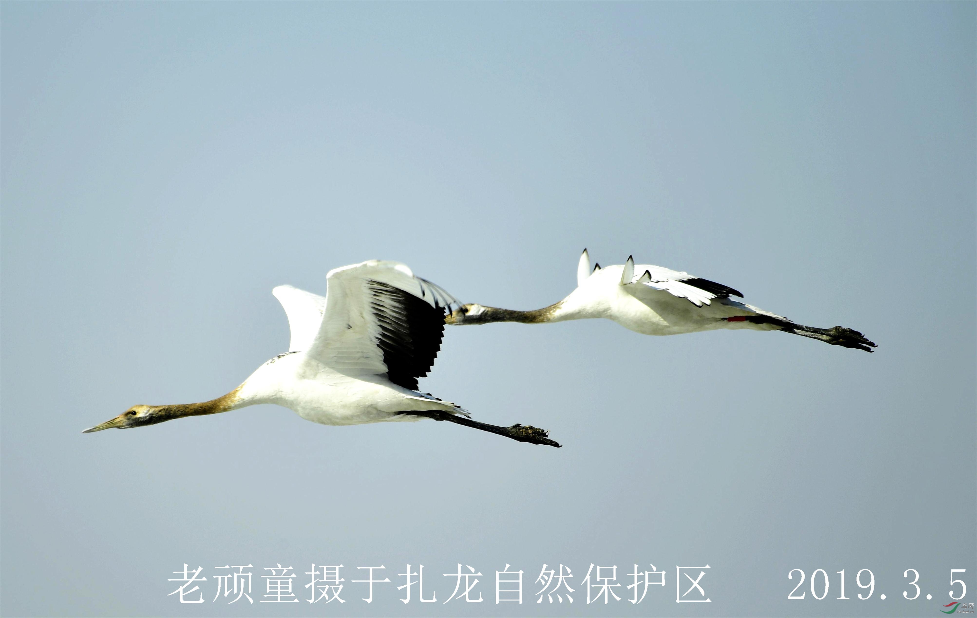 _DSC0466_����.jpg
