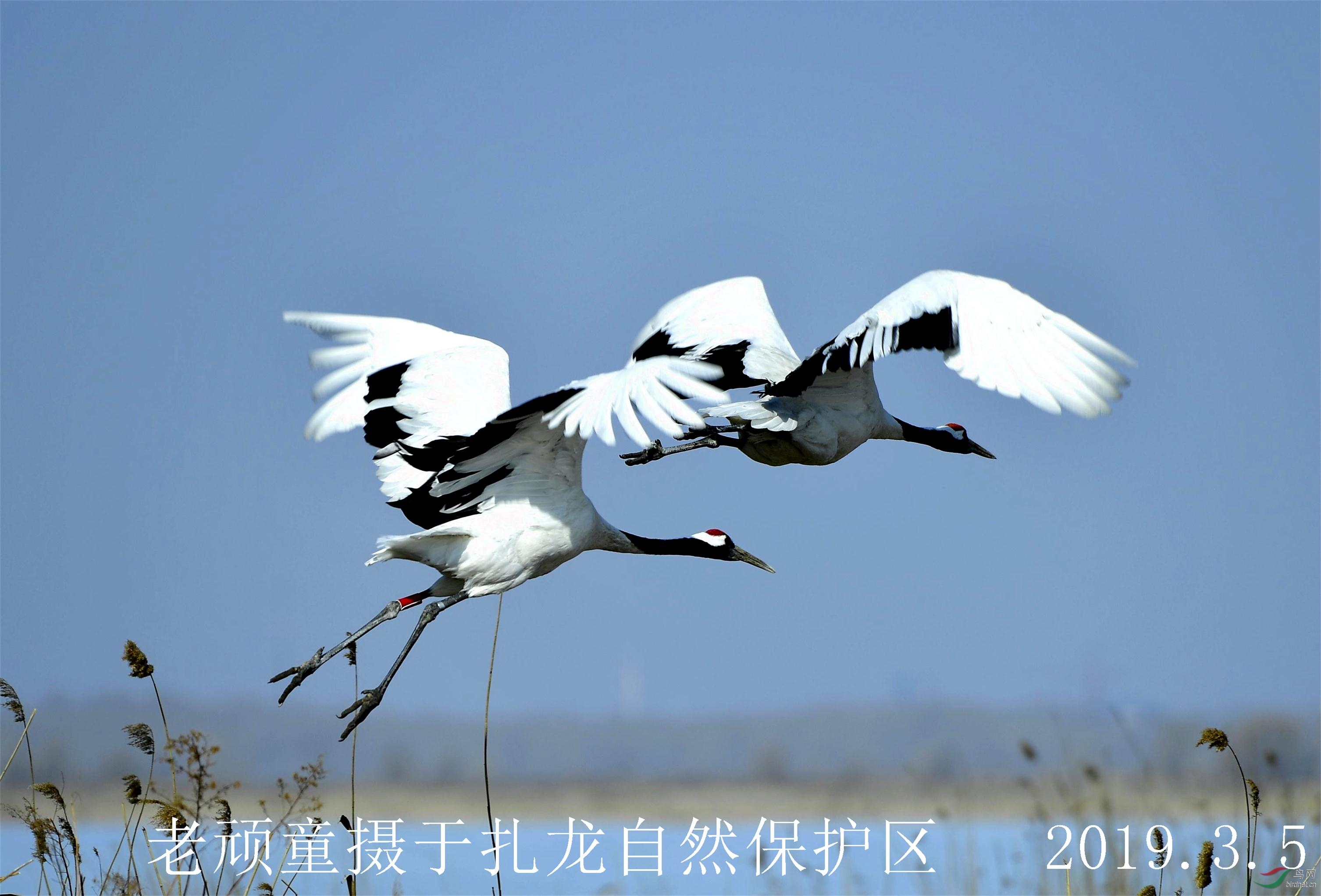 _DSC0568_����.jpg