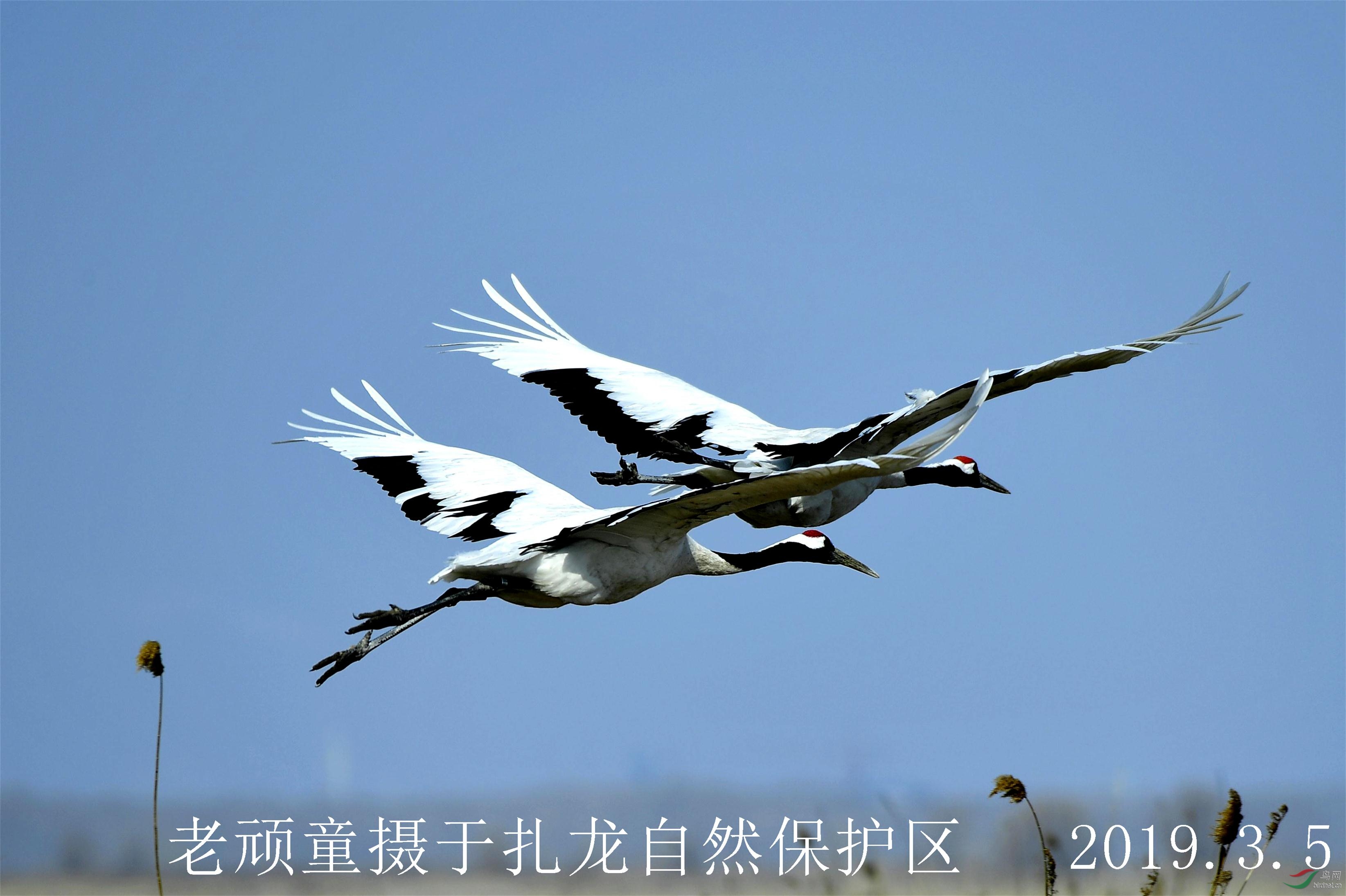 _DSC0569_����.jpg