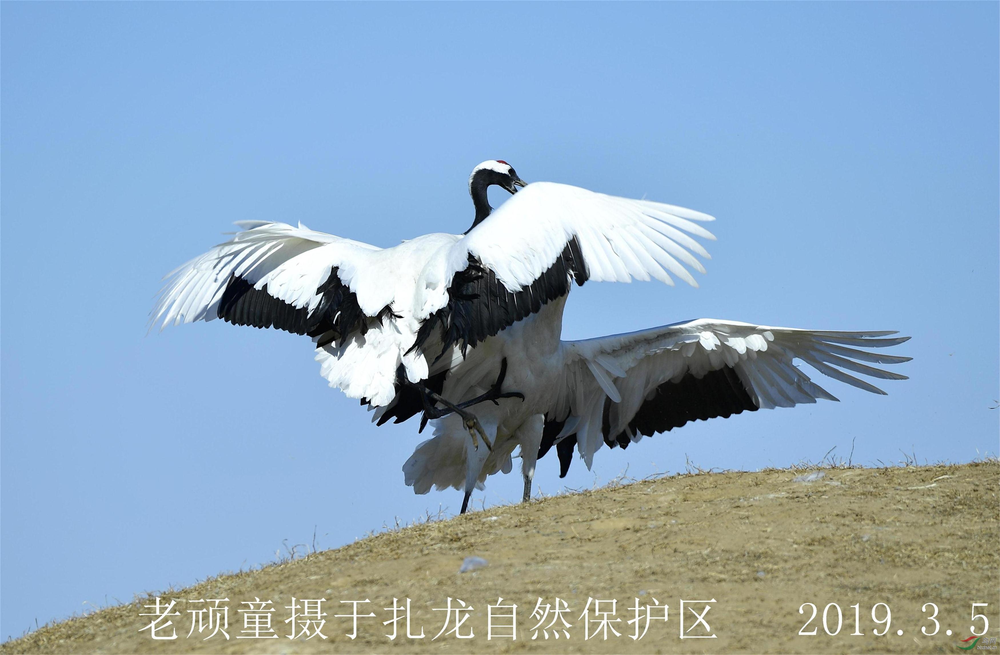 _DSC0918_����.jpg