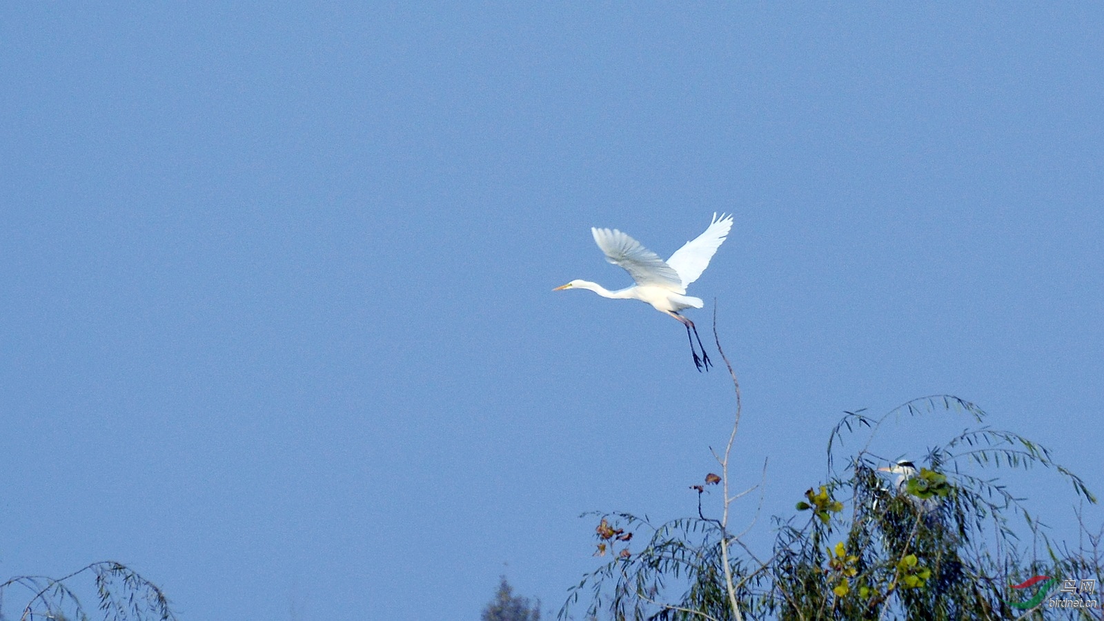 DSC_4310.JPG