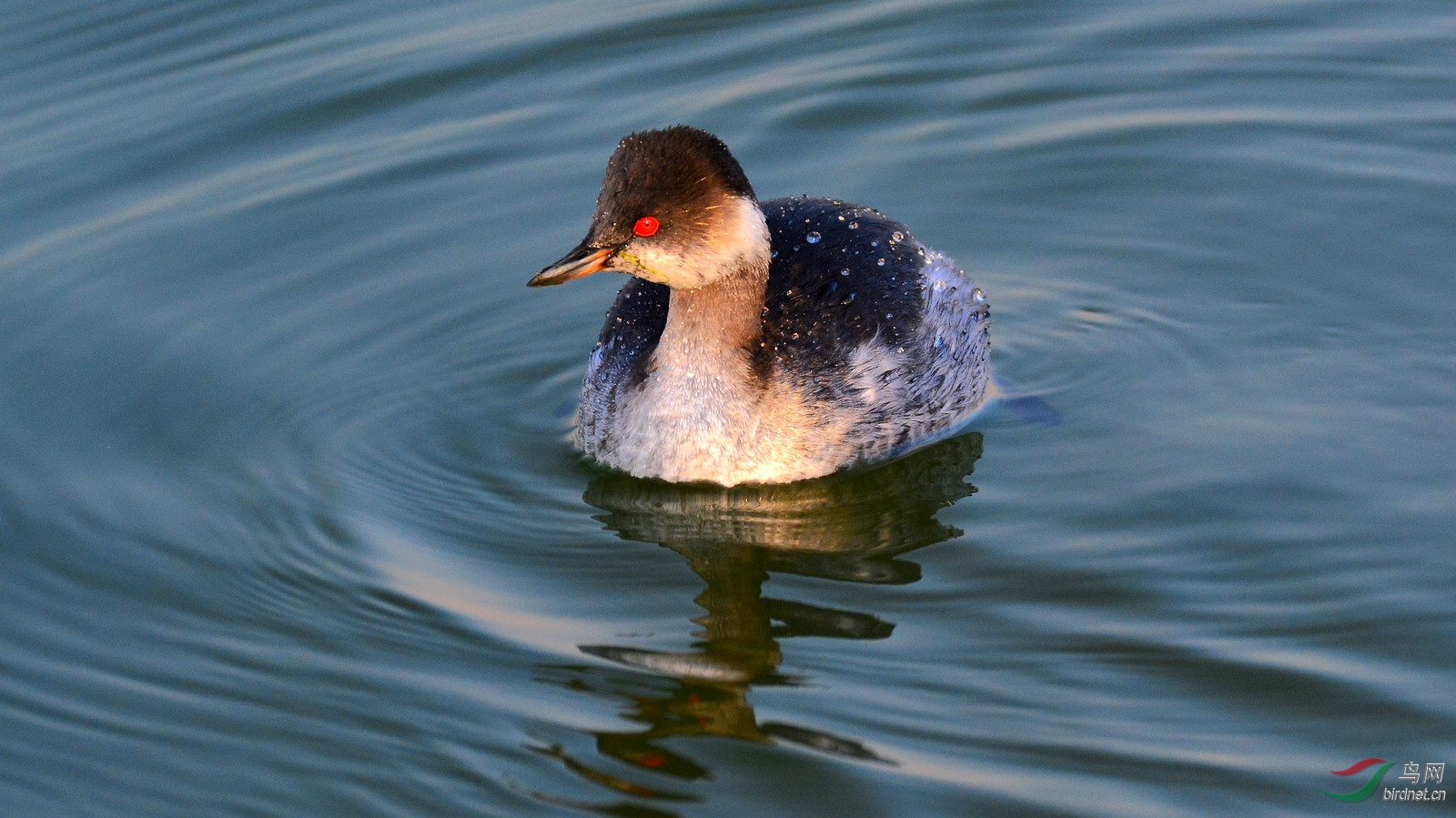 DSC_6904.JPG